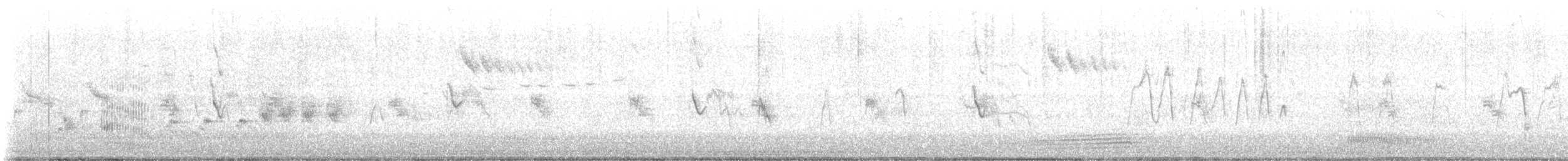 Tasmanian Nativehen - ML647119086