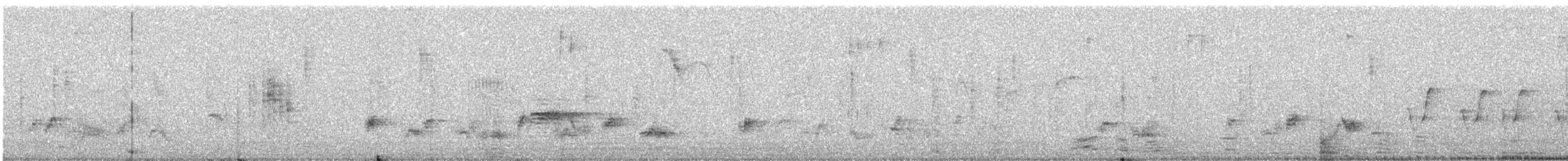 Couturière à longue queue - ML647119277