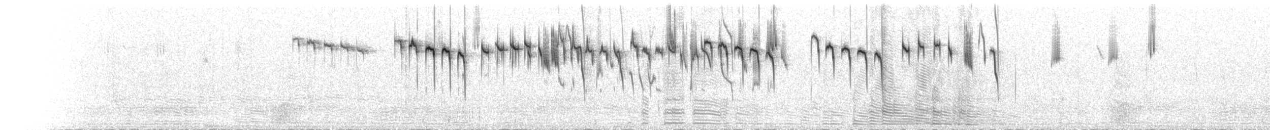 Maluro Coronirrufo - ML647119767