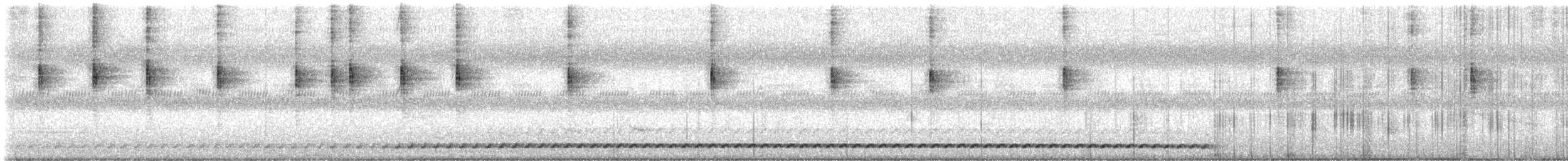 Mochuelo Cuco - ML647119804