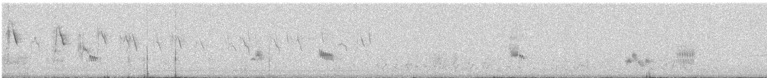 Estornino Pío Común - ML647119809