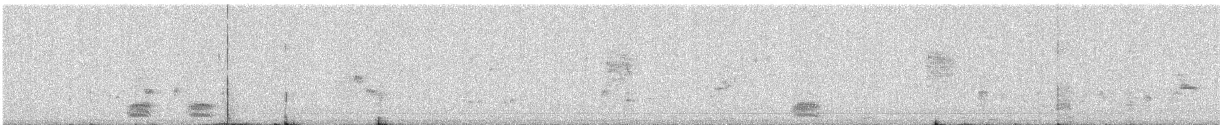 Cuervo Indio - ML647119830