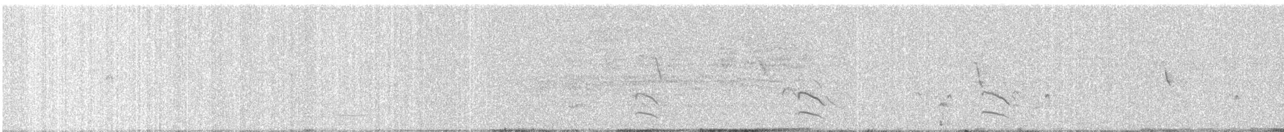 Charrán Indio - ML647119912