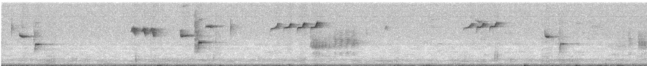 Reyezuelo Listado - ML647120219