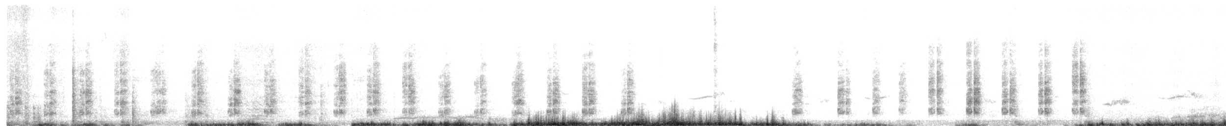 Sisón Negro Aliclaro - ML647120289