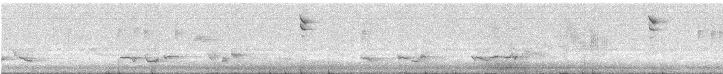 Zorzal Charlo - ML647120352