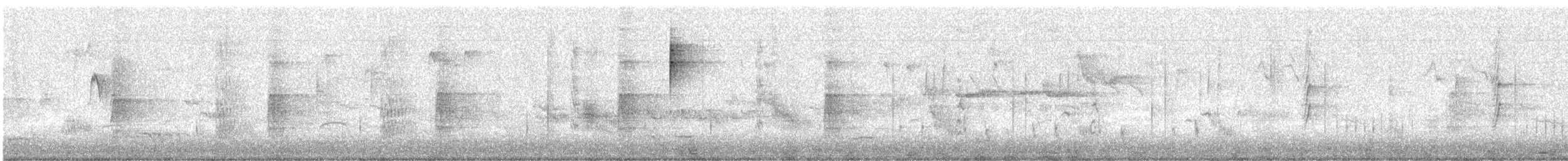 Picogordo Común - ML647120463