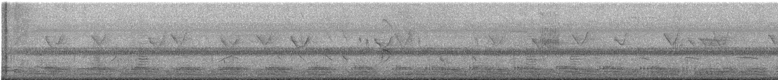 chřástal běloprsý - ML647120622