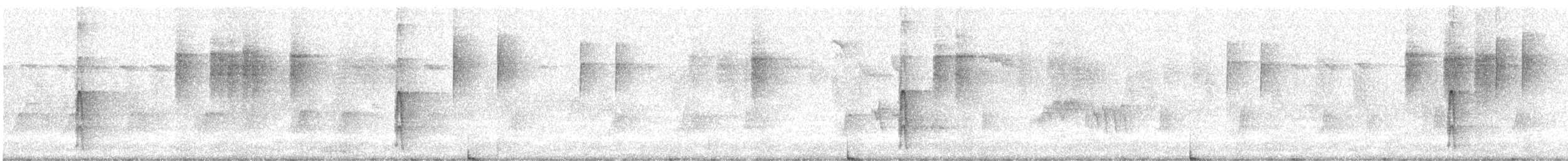 strakapoud velký - ML647120640