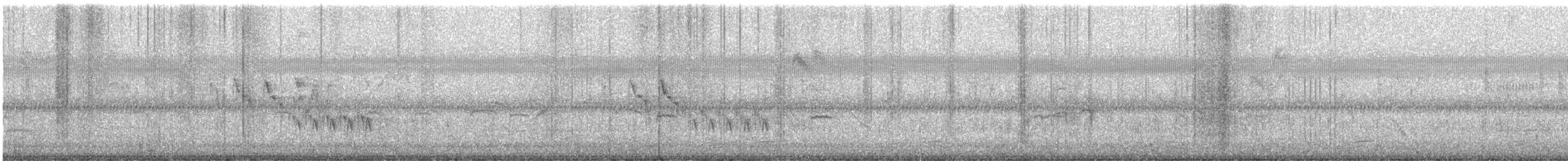 Yellow-bellied Prinia - ML647120879