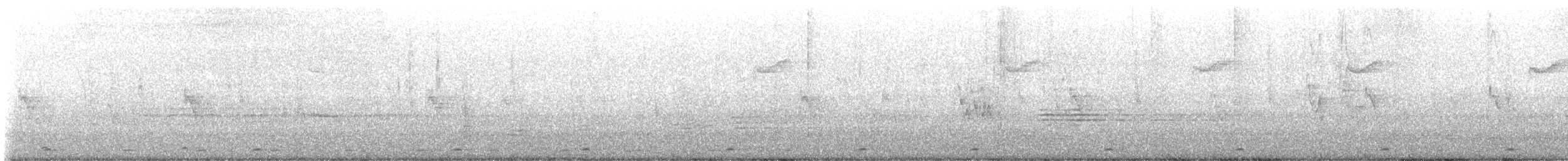 barbet zvučnohlasý - ML647120880