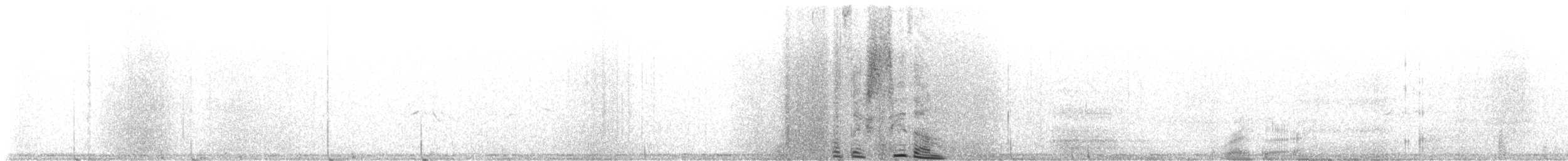 hýl křivčí - ML647121025