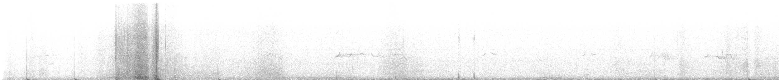 hýl křivčí - ML647121026