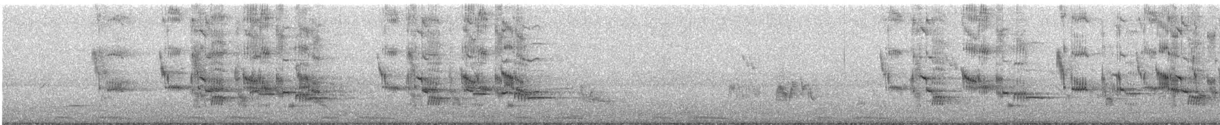 špaček černokrký - ML647121213