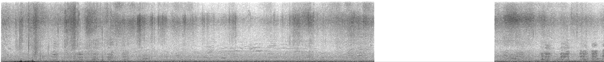 Cormorán Grande - ML647121813