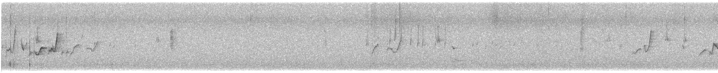 stumpnebb - ML647121975