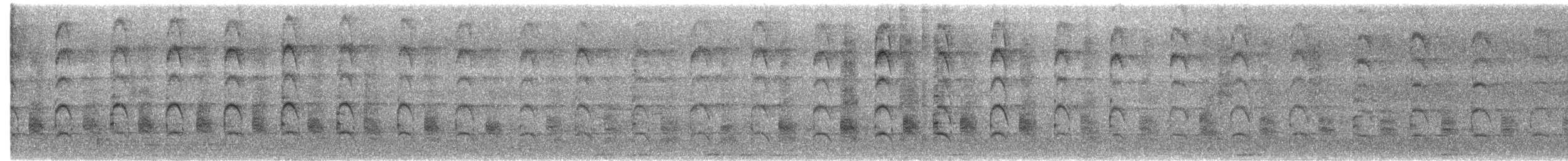 Tasmanian Nativehen - ML647122317