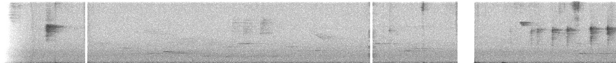 Dicée à dos rouge - ML647122565