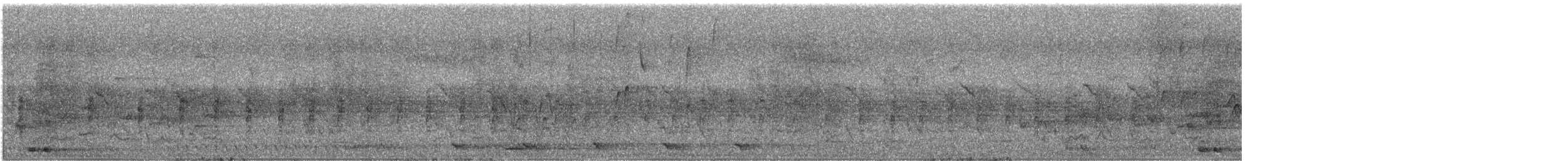 Râle à poitrine grise - ML647122614