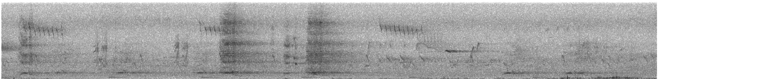 Râle à poitrine grise - ML647122616