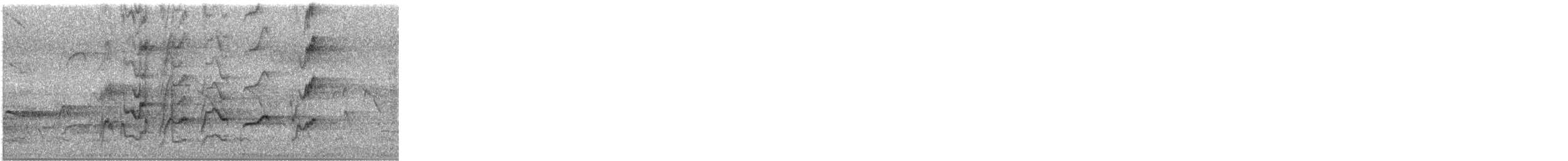 Perruche de Latham - ML647122619