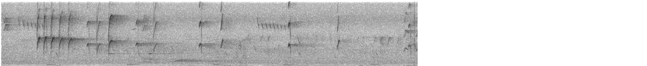 Perruche de Latham - ML647122620