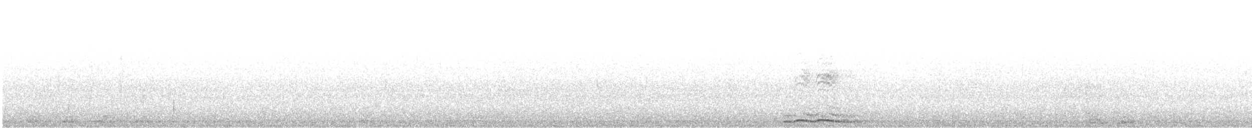 Chouette hulotte - ML647122759