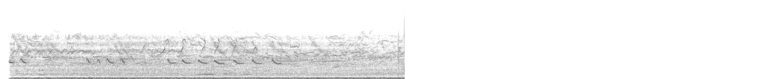 Chevalier aboyeur - ML647122828