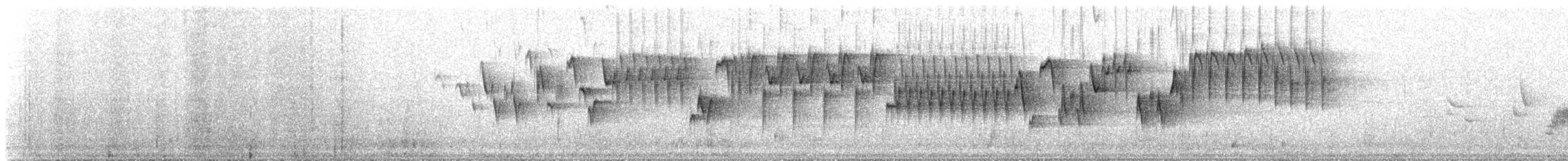 Troglodyte de Baird - ML647122933