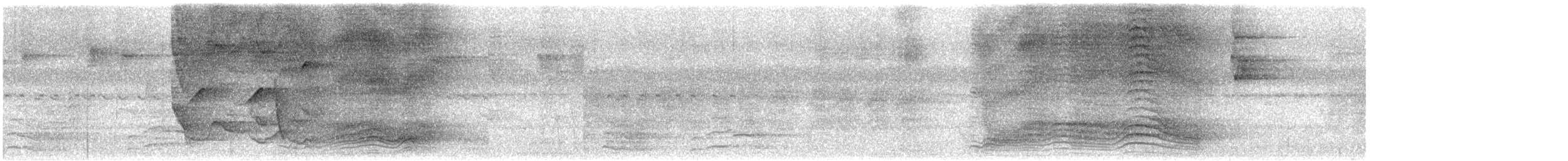 Jardinier de Ramsay - ML647123016