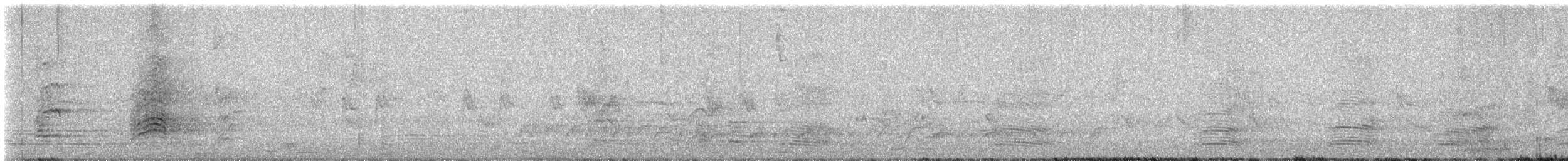 Corbeau d'Australie - ML647123033