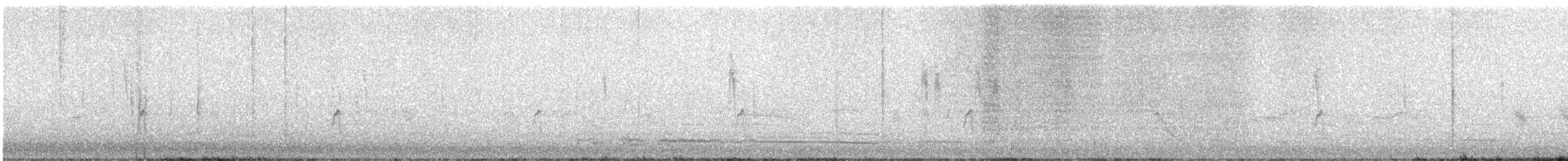 Pied Avocet - ML647123277