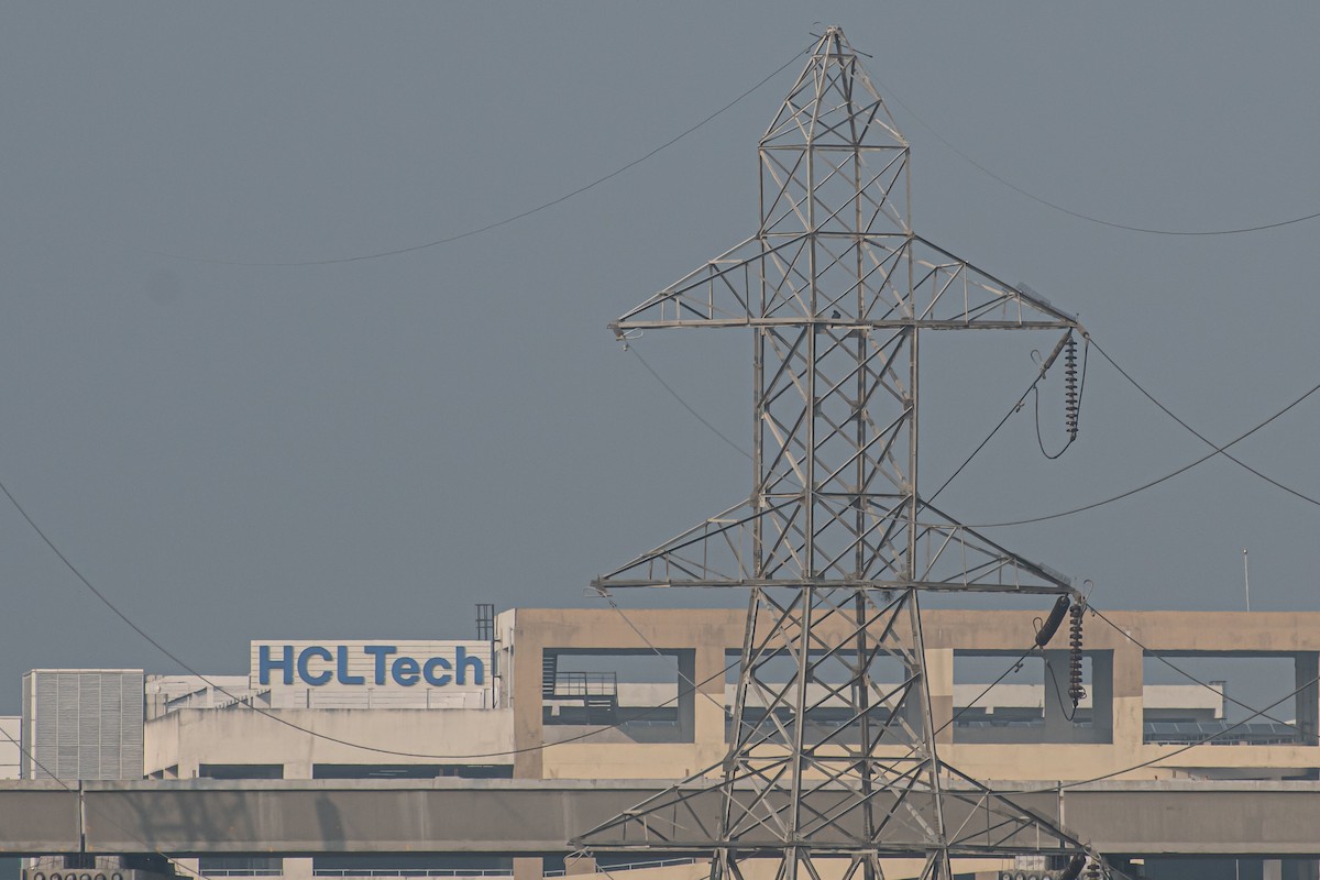 遊隼 - ML647124548