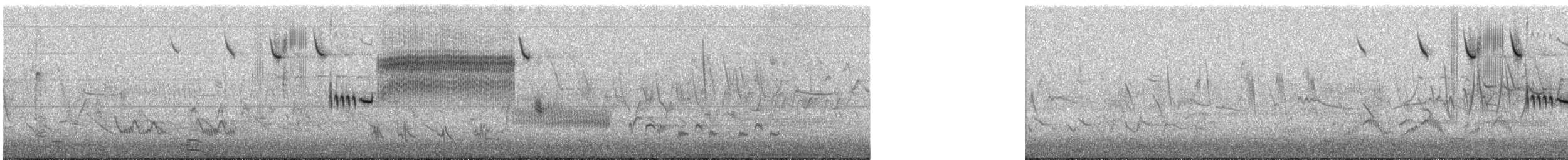 Savannah Sparrow - ML647124727