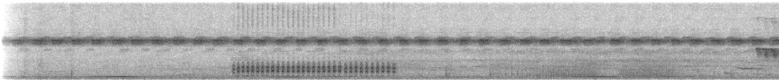 Bolivian Slaty-Antshrike - ML647125142