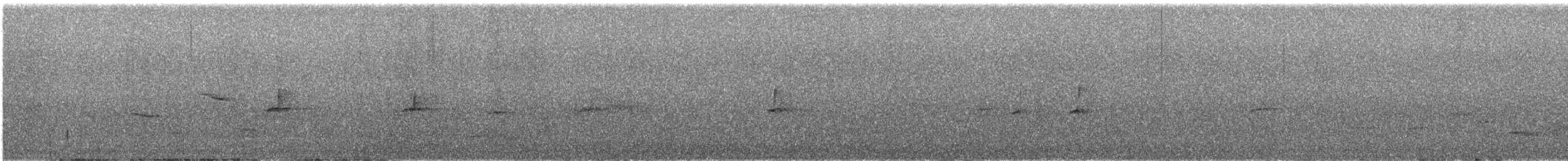 passerine sp. - ML647125157