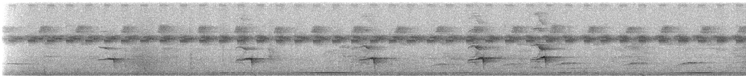 Hauxwell's Thrush - ML647125184