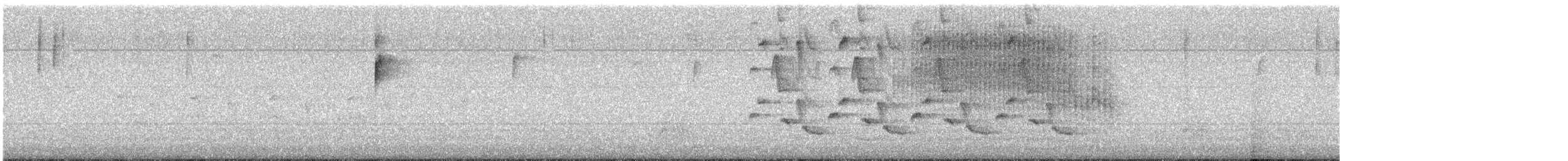 Cucarachero de Carolina - ML647125289