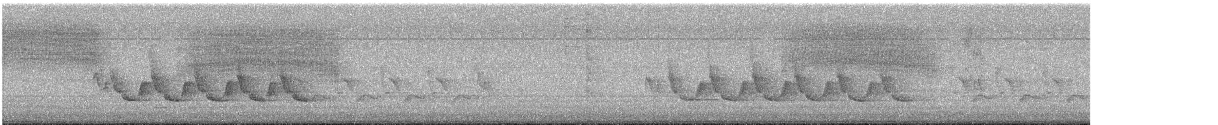 Cucarachero de Carolina - ML647125293