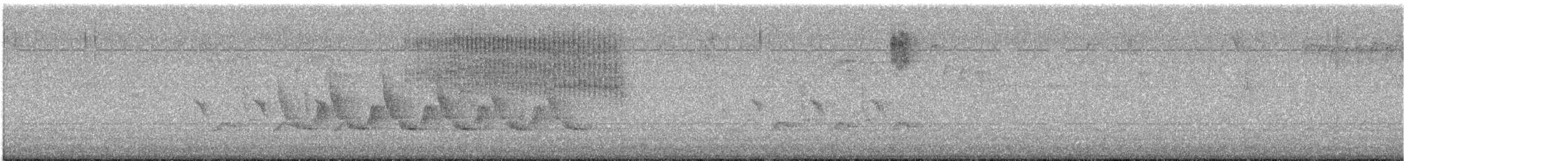 Cucarachero de Carolina - ML647125296