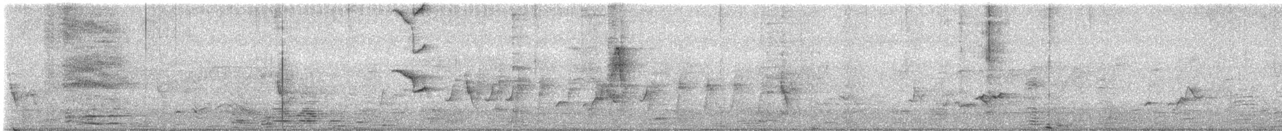 Black-naped Monarch - ML647125450