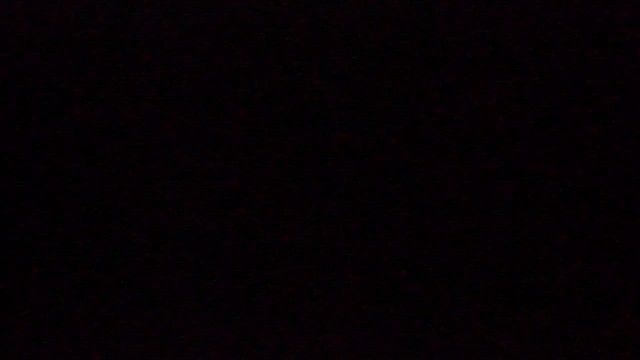 Мохноногий сыч - ML647125663