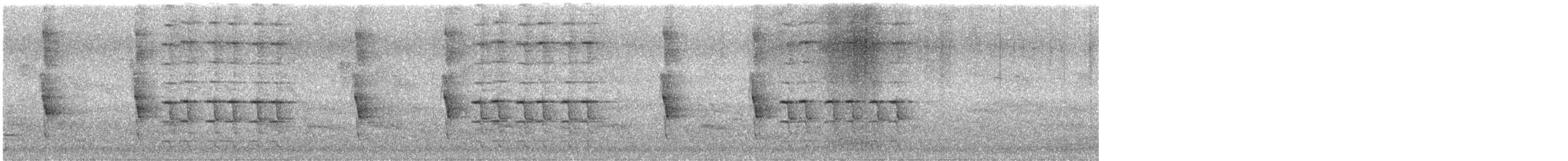 North Island Saddleback - ML647125840