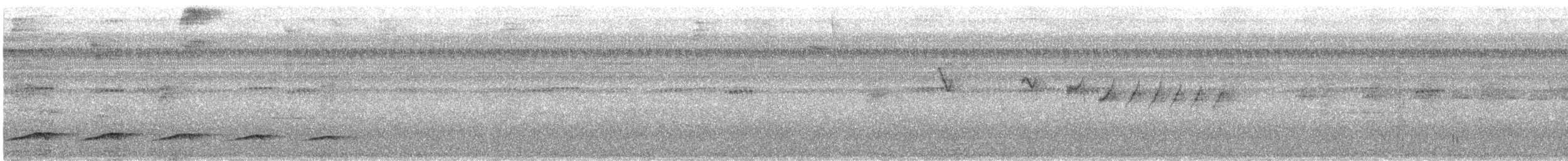 Fasciated Antshrike - ML647126599