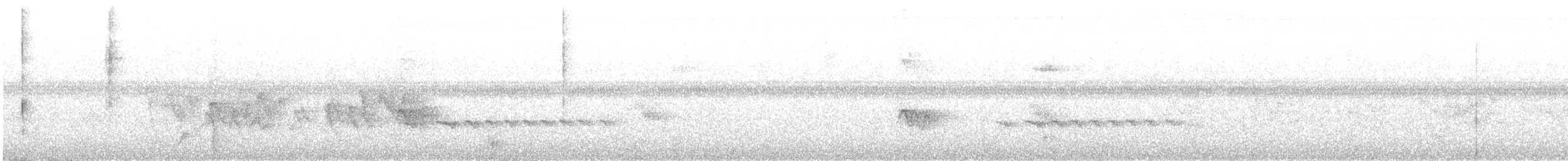 Recurve-billed Bushbird - ML647126714