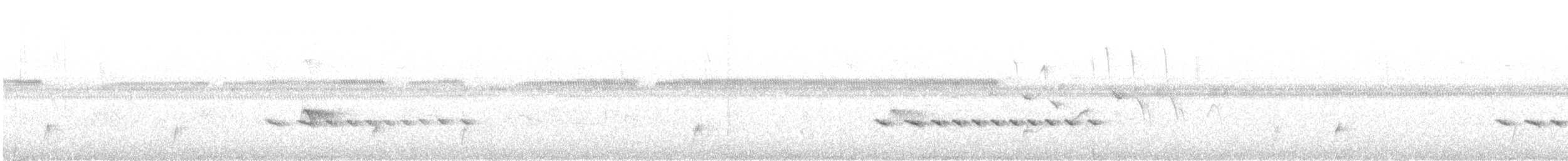 Recurve-billed Bushbird - ML647126716