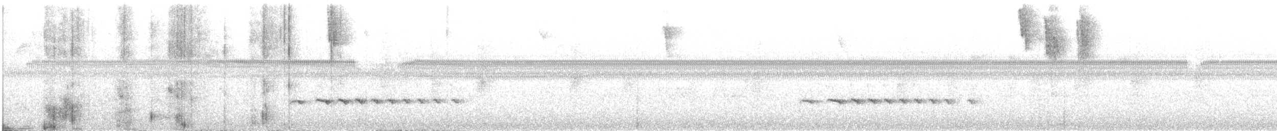 Recurve-billed Bushbird - ML647126718