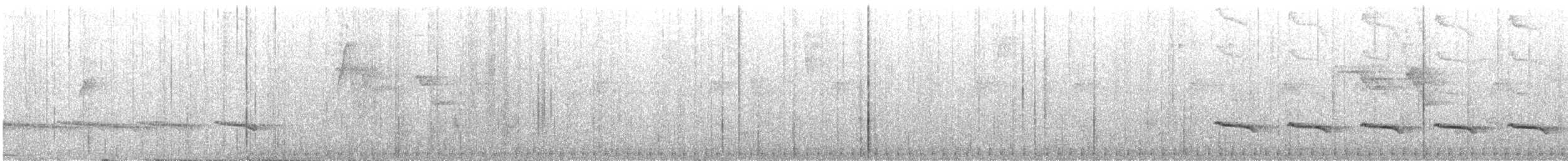 Blue-lored Antbird - ML647126741