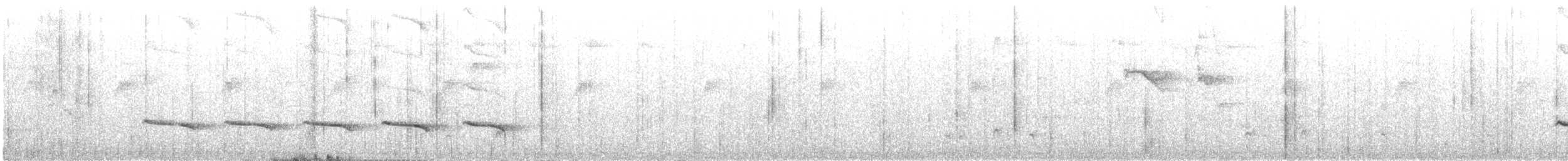 Blue-lored Antbird - ML647126742