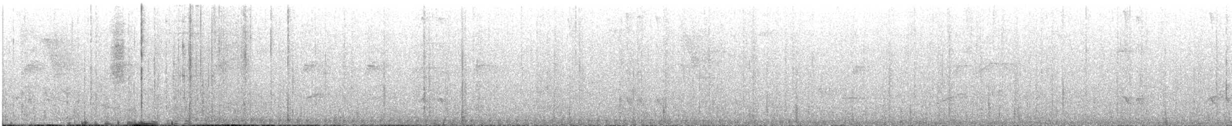 Blue-lored Antbird - ML647126743